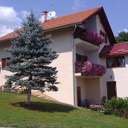 Guesthouse Hodak Selište Drežničko Exterior foto