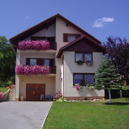 Guesthouse Hodak Selište Drežničko Exterior foto