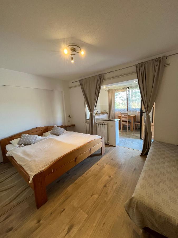 Guesthouse Hodak Selište Drežničko Exterior foto