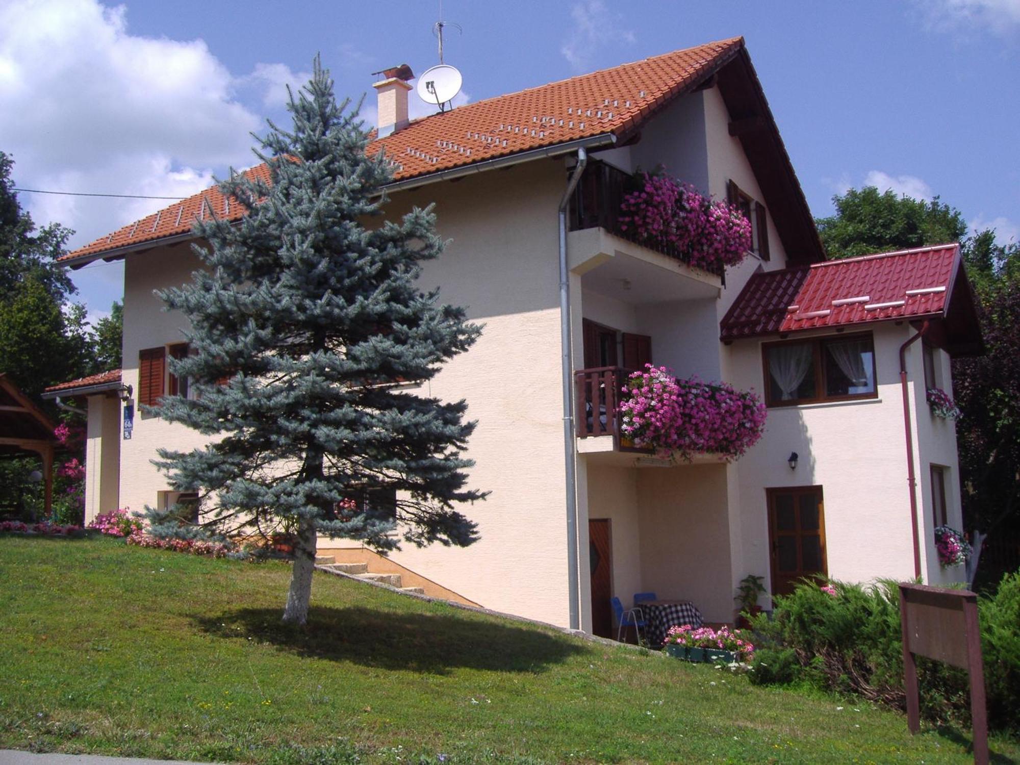 Guesthouse Hodak Selište Drežničko Exterior foto