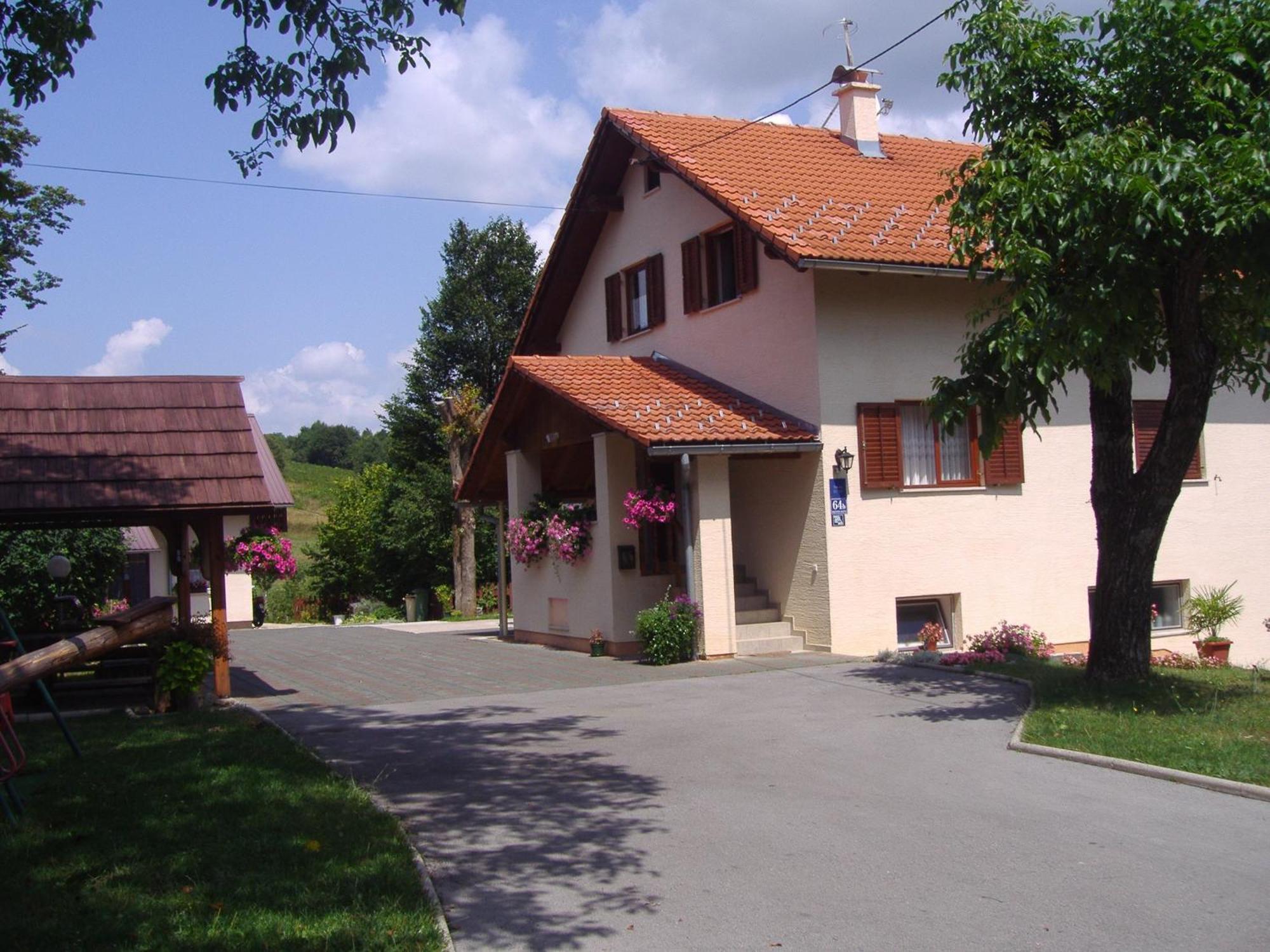 Guesthouse Hodak Selište Drežničko Exterior foto